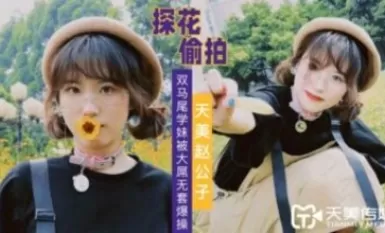 天美傳媒天美趙公子探花大屌無套爆操雙馬尾學妹-The AV Porn