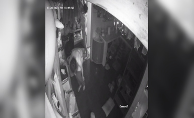 2023最新流出黑客 破解家庭攝像頭偷拍啪啪合集 小哥站著無套搞媳婦逼逼精液流了一地 (10)