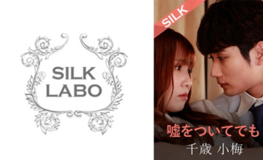 SILKS-120 噓をついてでも 友田彩也香