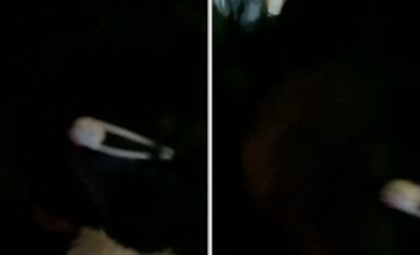 美露脸极品少女洛丽塔『喵喵』户外 05